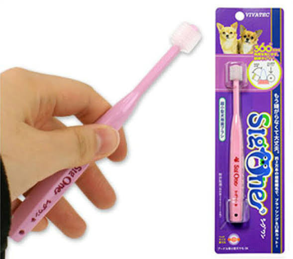 🎁Dog gift ideas|unique🥰Toothbrushes|Australian exclusive| 360degree dog toothbrushes 🪥 made in Japan🇯🇵