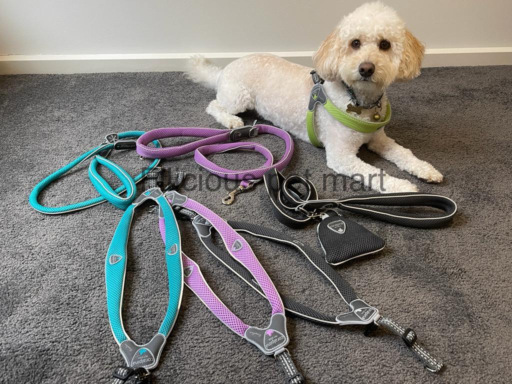 CORALPINA PET SOUL HARNESS