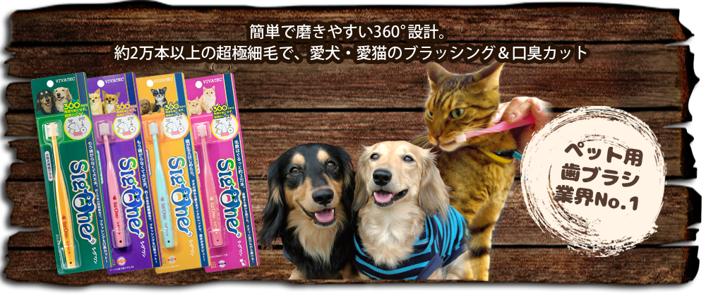 🎁Dog gift ideas|unique🥰Toothbrushes|Australian exclusive| 360degree dog toothbrushes 🪥 made in Japan🇯🇵