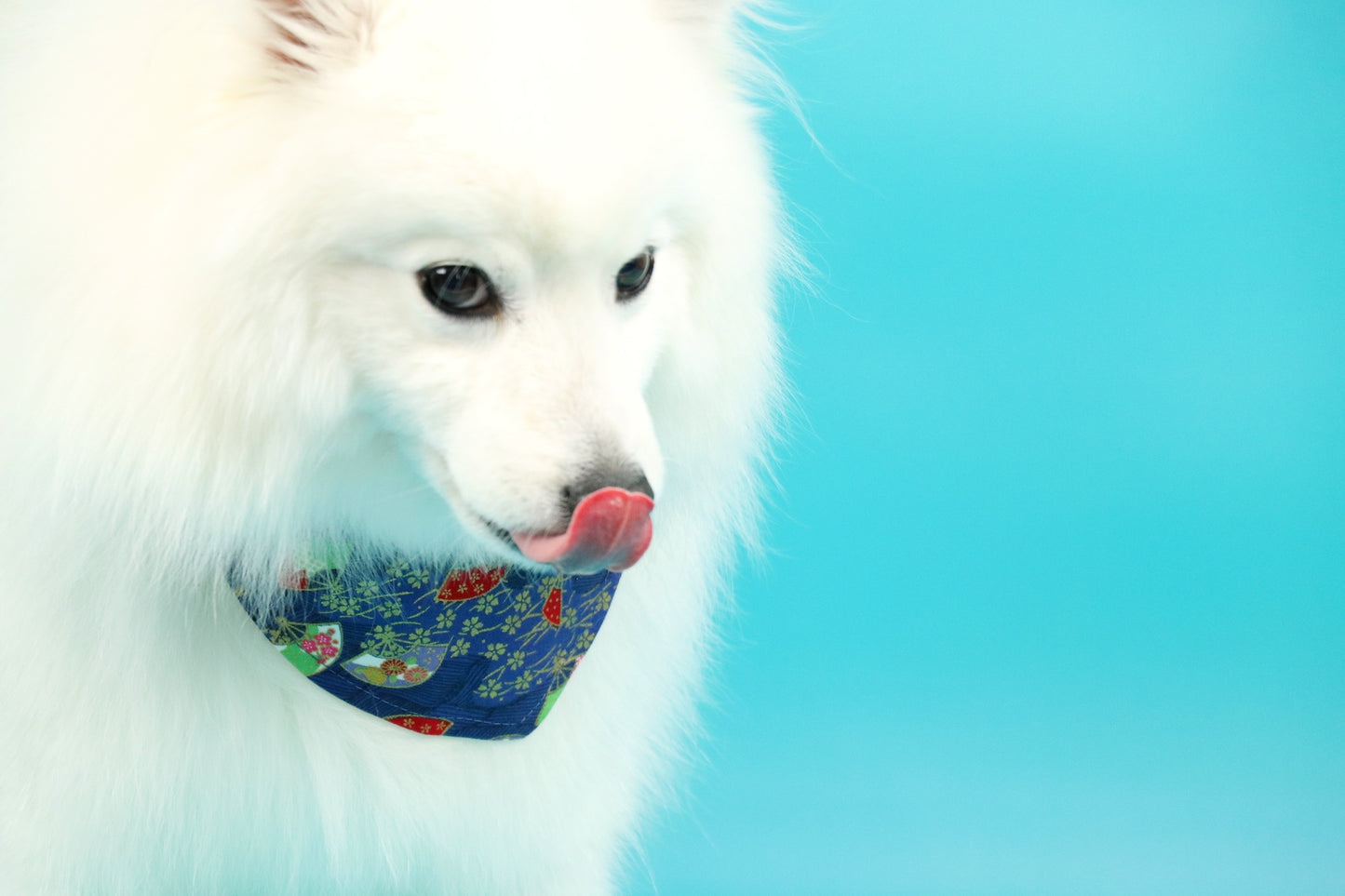 Limited edition Japanese Yukata Neckerchief - Double sided B0012020