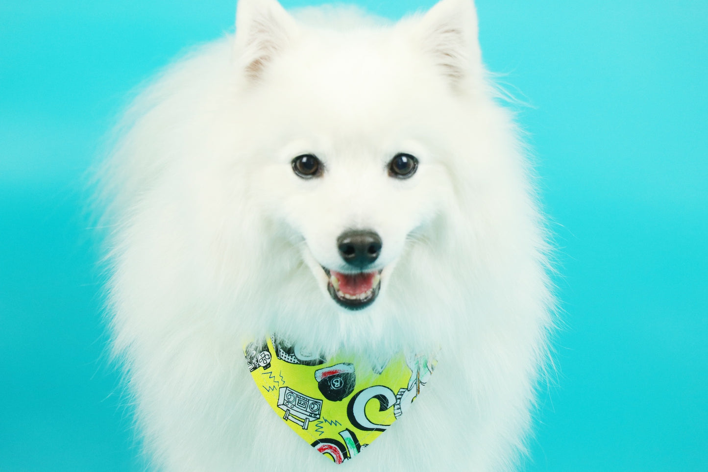 Limited edition Puppy Neckercheif - Double sided B0022020