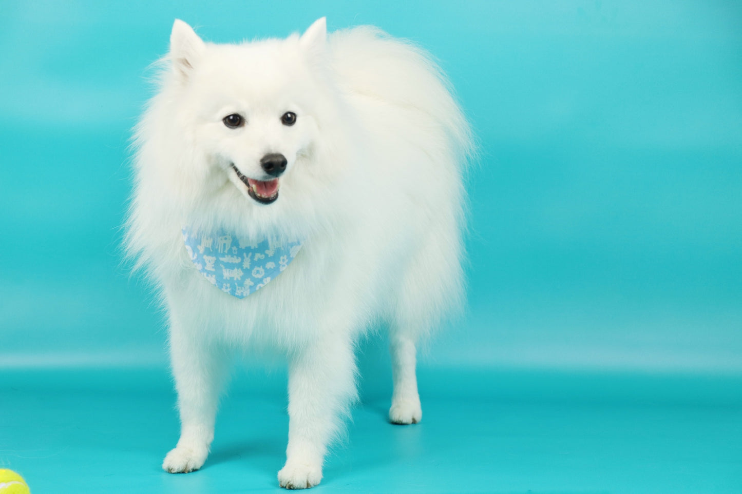 Limited edition Puppy Neckercheif - Double sided B0022020