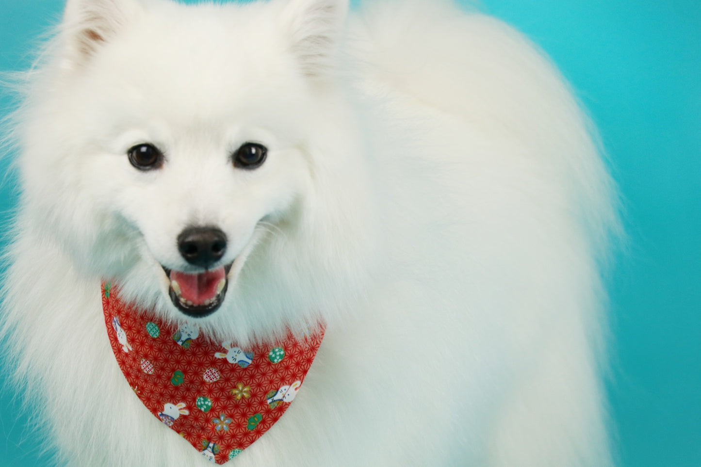 Limited edition Puppy Neckercheif - Double sided B0062020