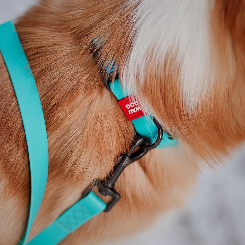 Waterproof Glowing In The Dark Dog Leash by WAH DOG