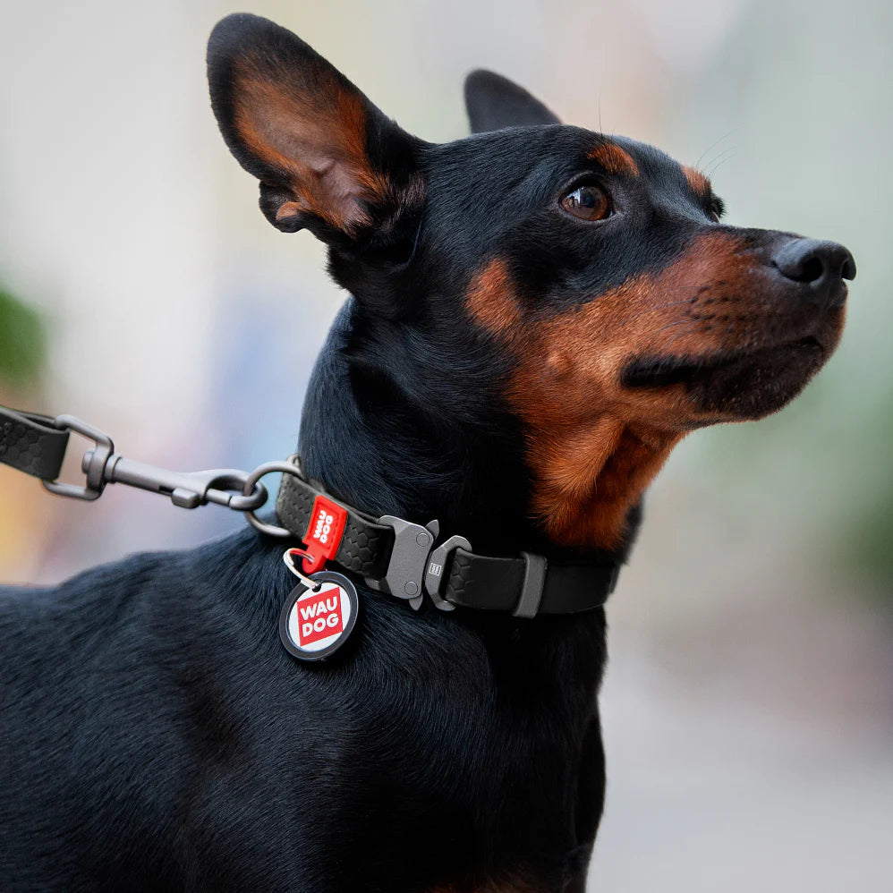 Ultra-Modern Waterproof Dog Collar With Metal Clasp by WAHDOG