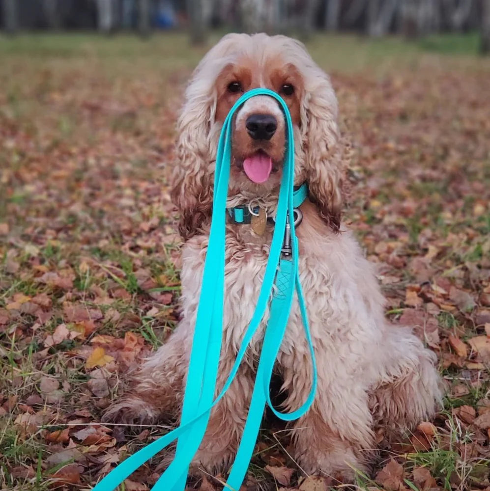 Waterproof Glowing In The Dark Dog Leash by WAH DOG