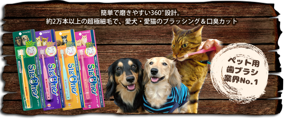 Toothbrushes !! Filicious exclusive 360degree (made in Japan)