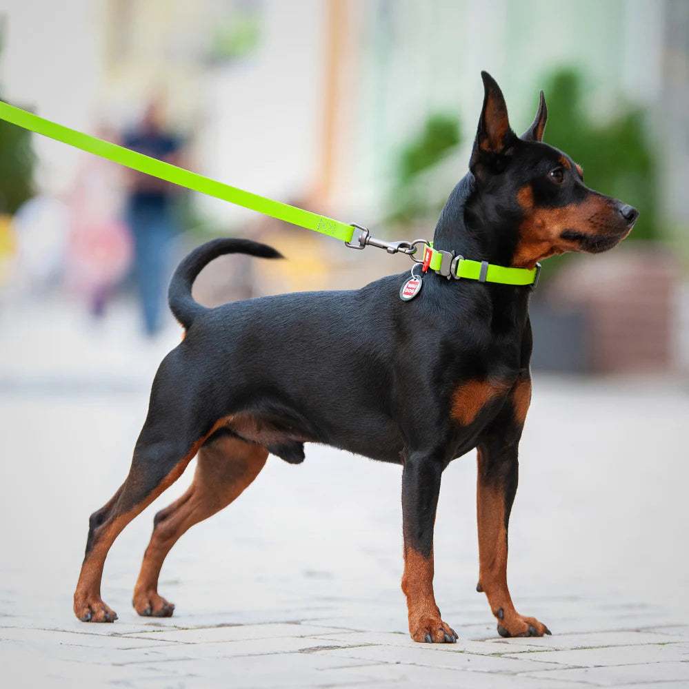Ultra-Modern Waterproof Dog Leash by WAH DOG