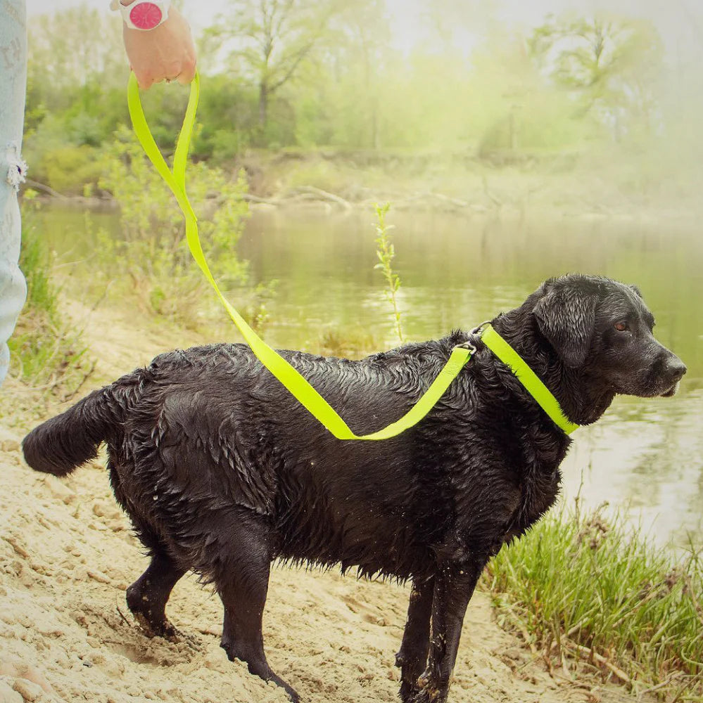 Ultra-Modern Waterproof Dog Leash by WAH DOG