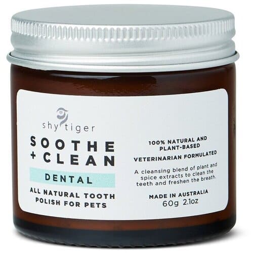 Sooth + Clean Dental by Shy Tiger