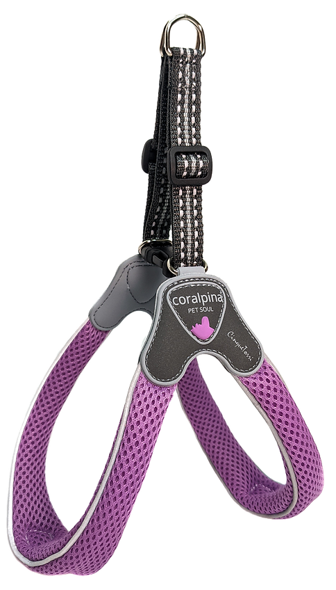 Coralpina dog outlet harness