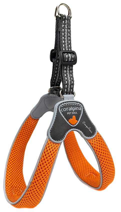 Coralpina dog outlet harness